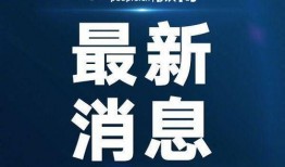 沈阳精彩爆料新闻视频下载,最新视频揭秘精彩新闻幕后故事
