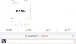 iqoo11最新爆料价格信息,旗舰性能新标杆，性价比再升级！